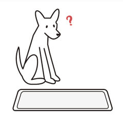 pet training pad-Instructions for use