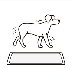 pet training pad-Instructions for use2