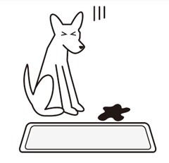 pet training pad-Instructions for use3