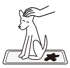 pet training pad-Instructions for use4