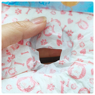 メス犬用 尻尾部分のディテール