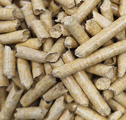 Pine wood cat litter