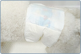 オス犬用 手順 3