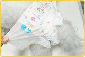 メス犬用 手順 2