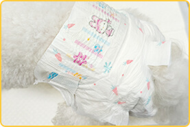 メス犬用 手順 3