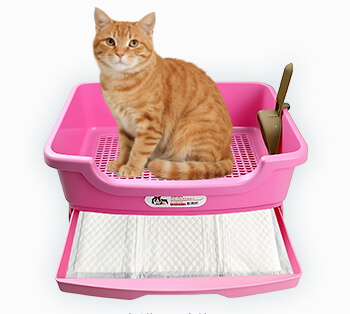 猫用洁垫使用示例