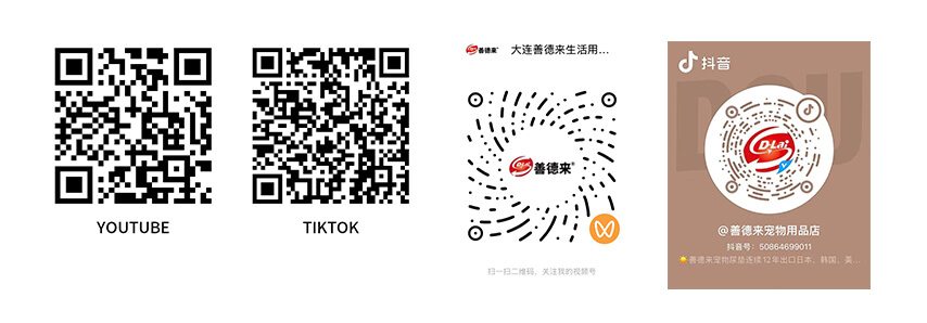 善徳来の動画アカウント:YouTube、TikTok、抖音(Douyin)、微信视频号(WeChat Channels)
