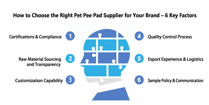 How to Choose the Right Pet Pee Pad Supplier for Your Brand – 6 Key Factors
